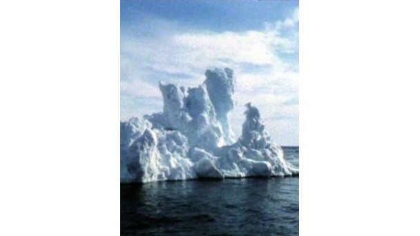 LE GRAND NORD Les Films d’ici